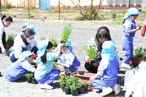 花と緑のぐんまづくり2020in藤岡でプランターに花を植える園児