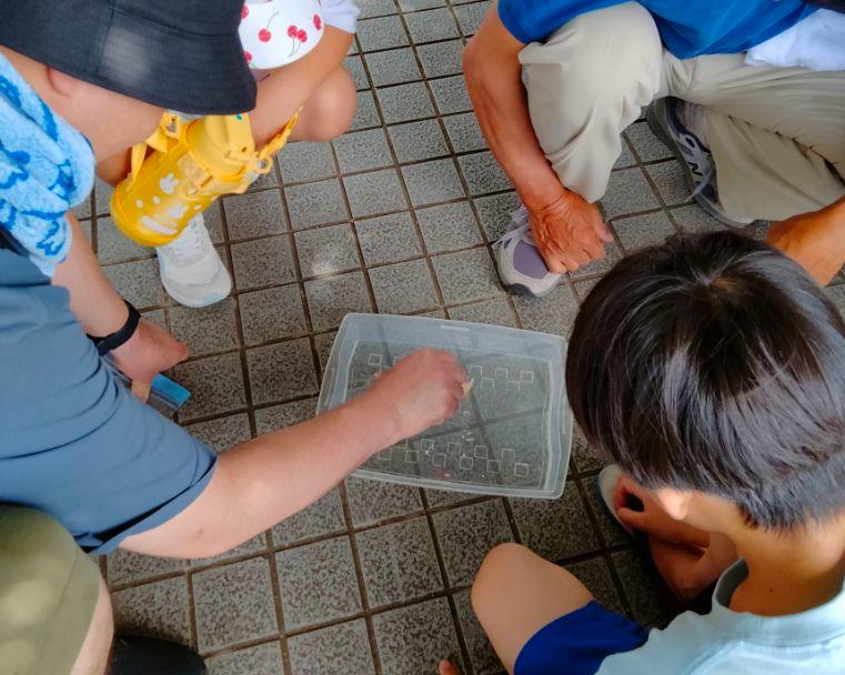 樟脳船の実験の様子