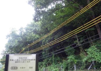 三波川伐採作業前の様子