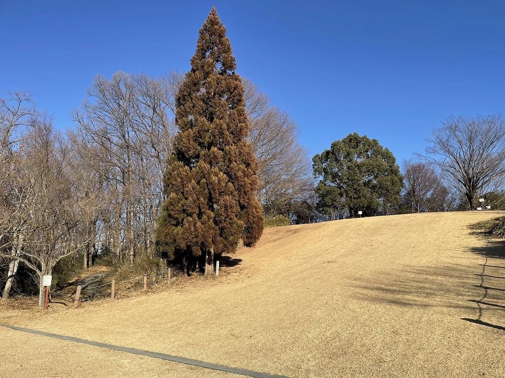 おとぎの森(遊具は撤去しました)