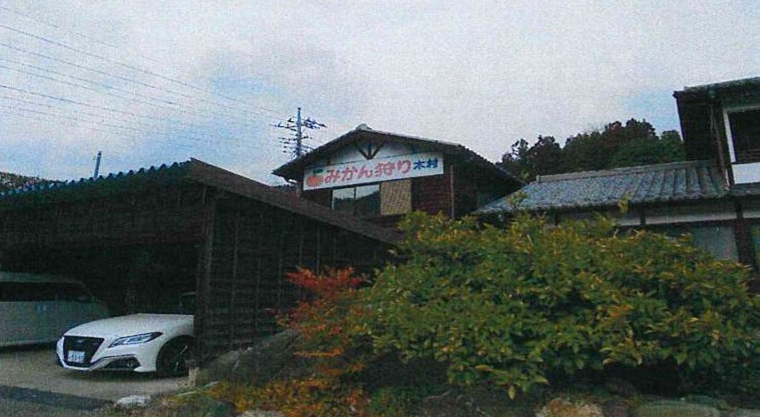 木村観光みかん園1