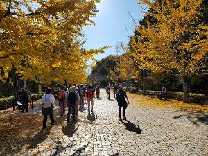 令和6年度ハイキング_秩父ミューズパーク