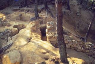 調査時の金山城の大手門脇の石垣の写真