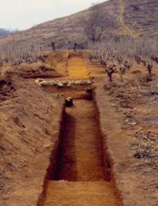 発掘調査時の十二天塚北古墳埴輪列の写真
