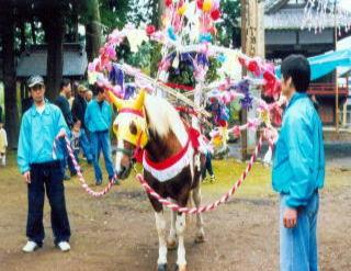 秋祭りの際の花飾りなどを背負った花馬の写真