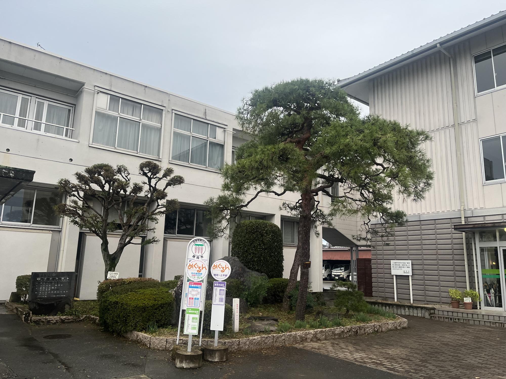バス停留所裏剪定後の写真