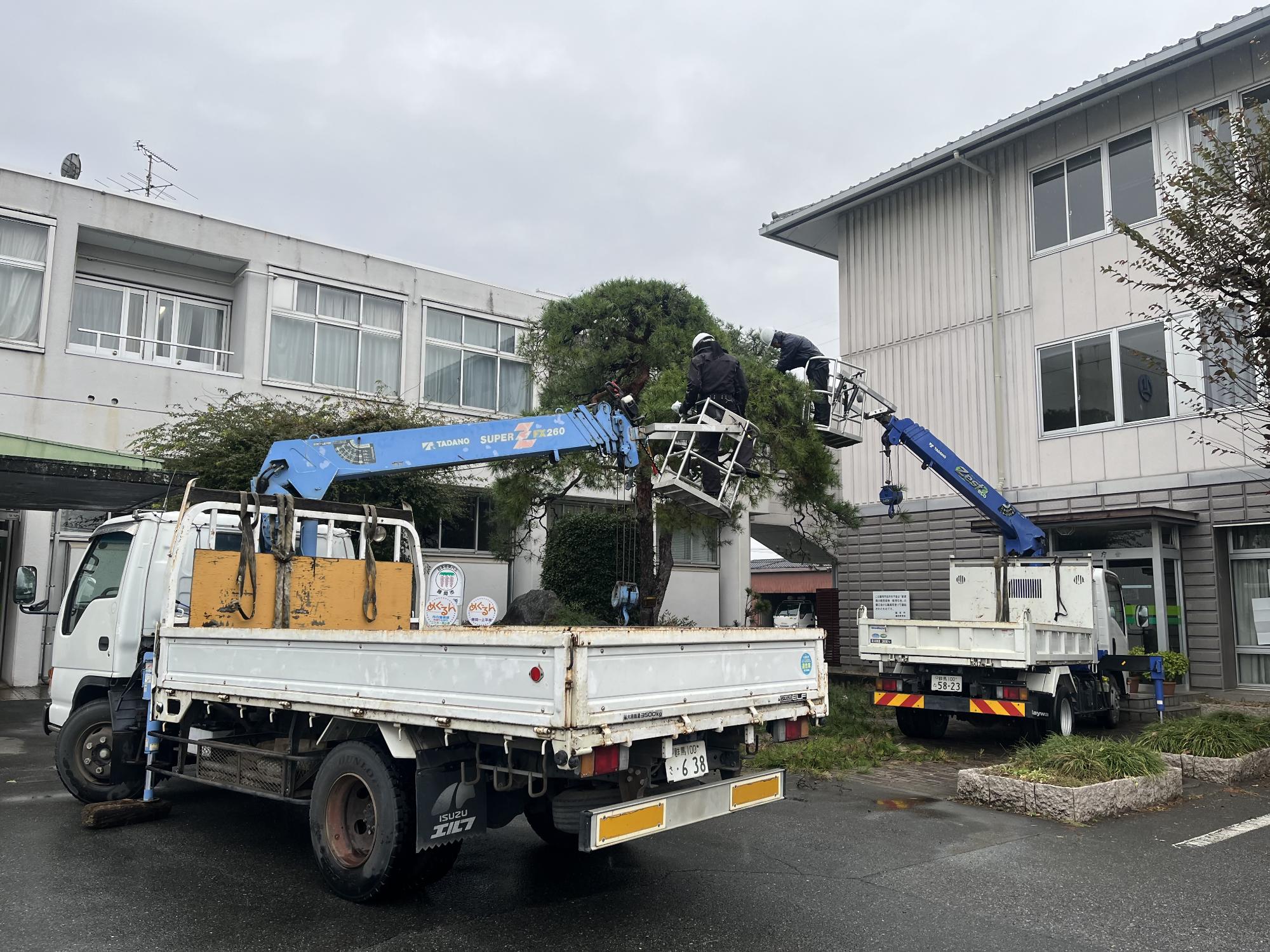 バス停留所裏剪定中の写真