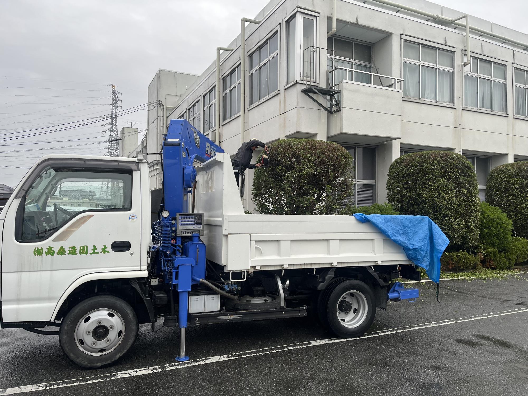 本庁舎南側剪定中の写真