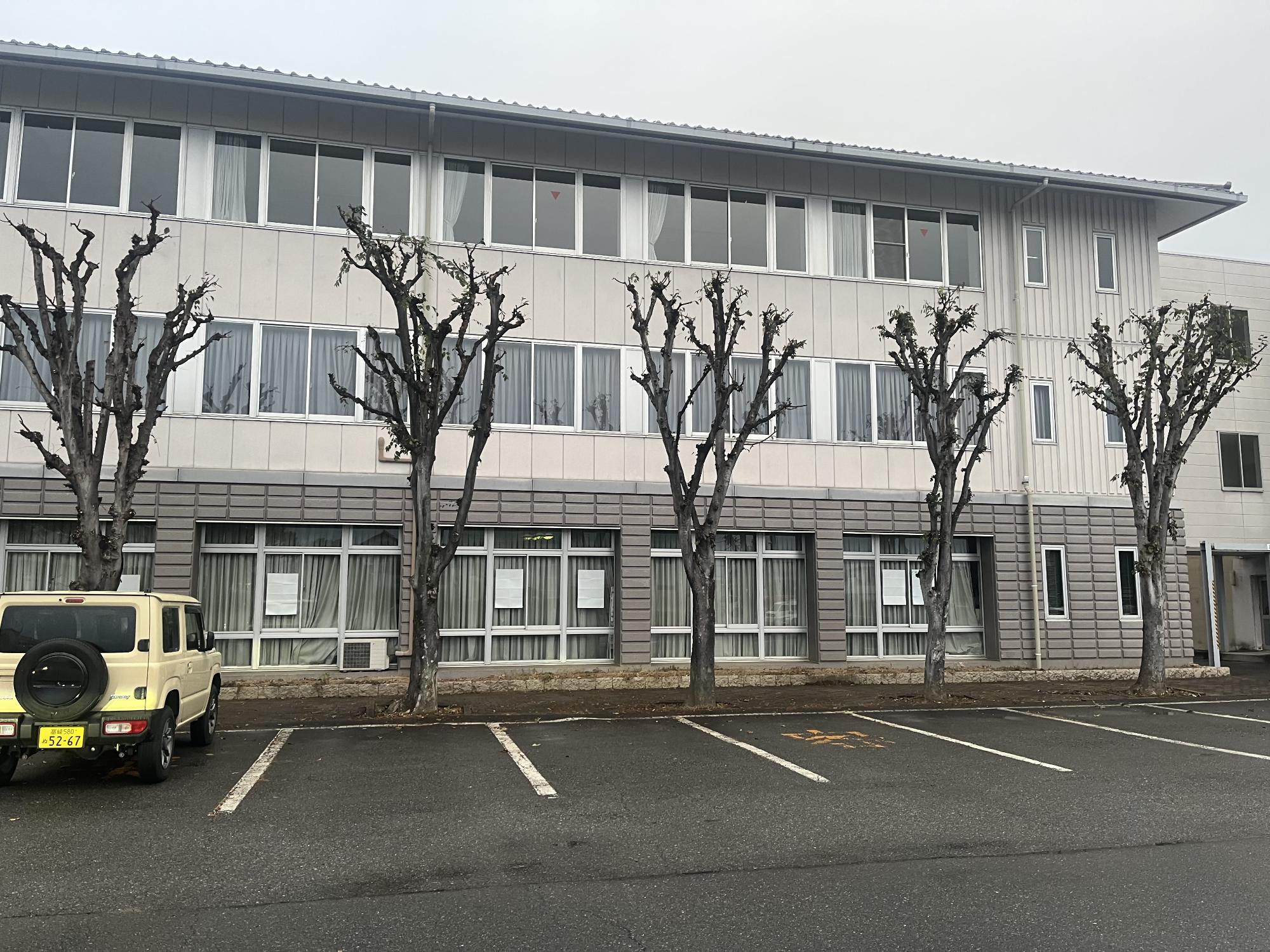 中庁舎前剪定後の写真