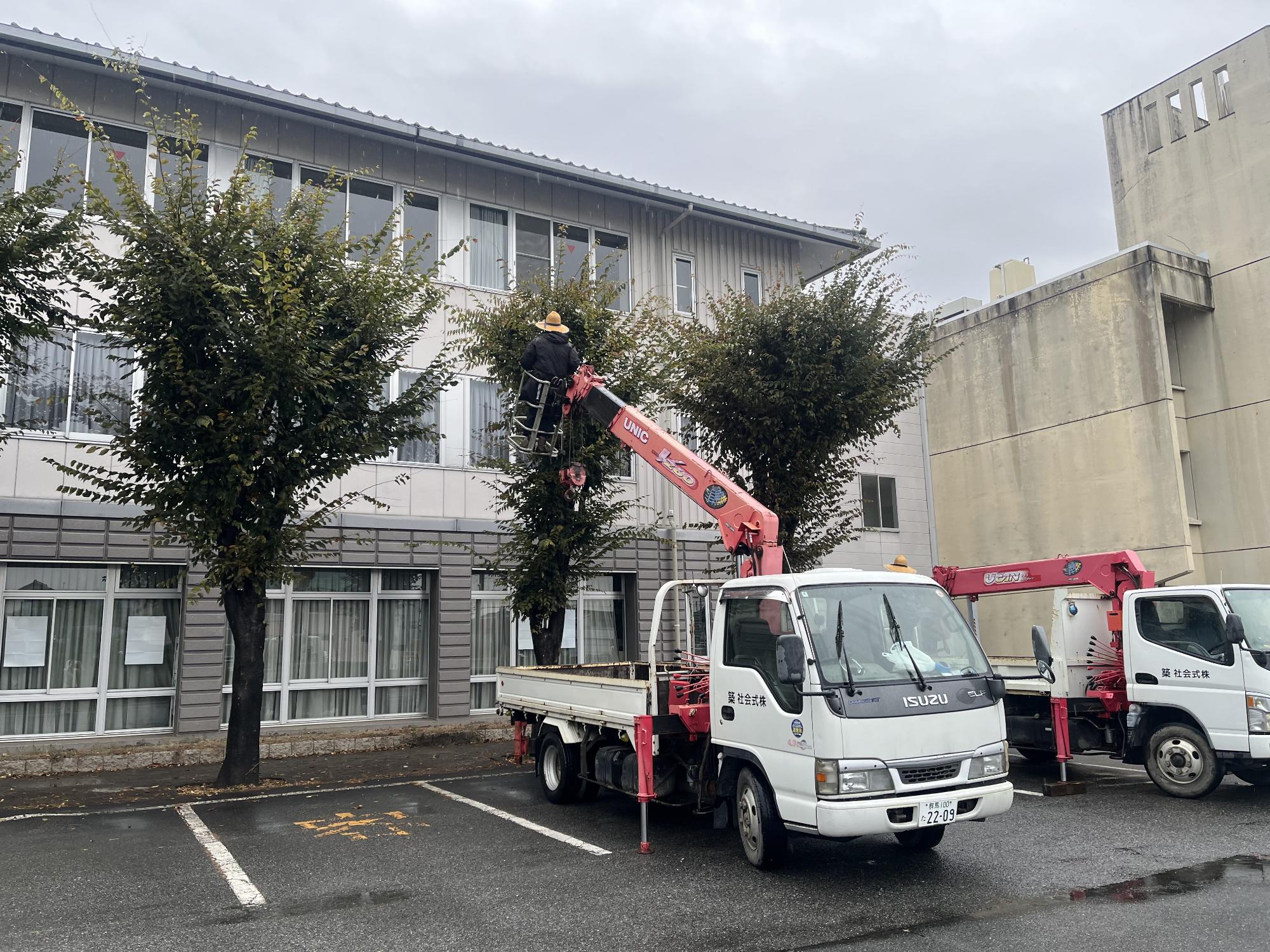 中庁舎前剪定中の写真
