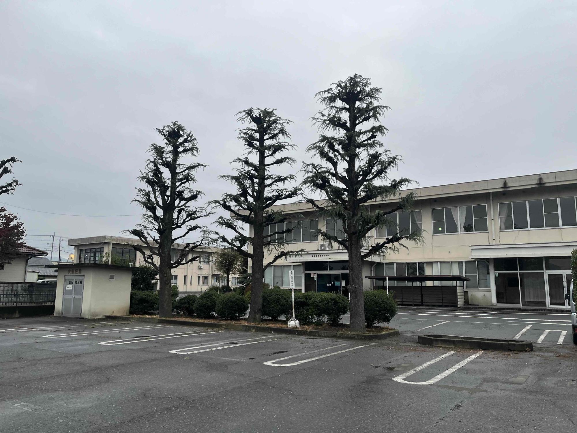 西庁舎前剪定後の写真
