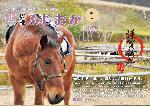令和7年12月号表紙 謹賀新年の文字と馬の写真