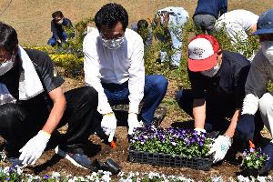 ふじの咲く丘で参加者とともに植栽する新井藤岡市長