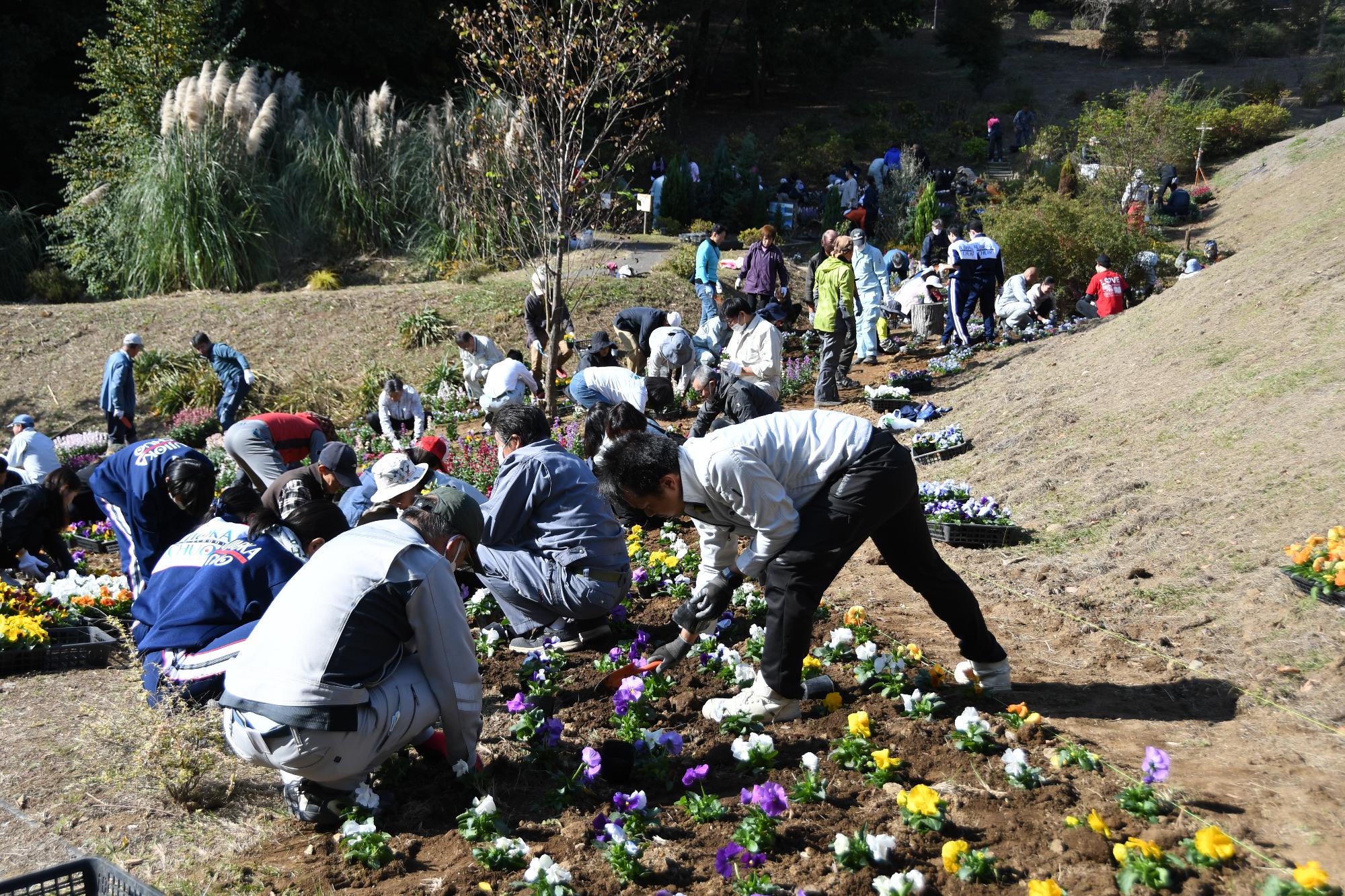R07花と緑と笑顔あふれるまちづくり市民大花壇に花植えする様子