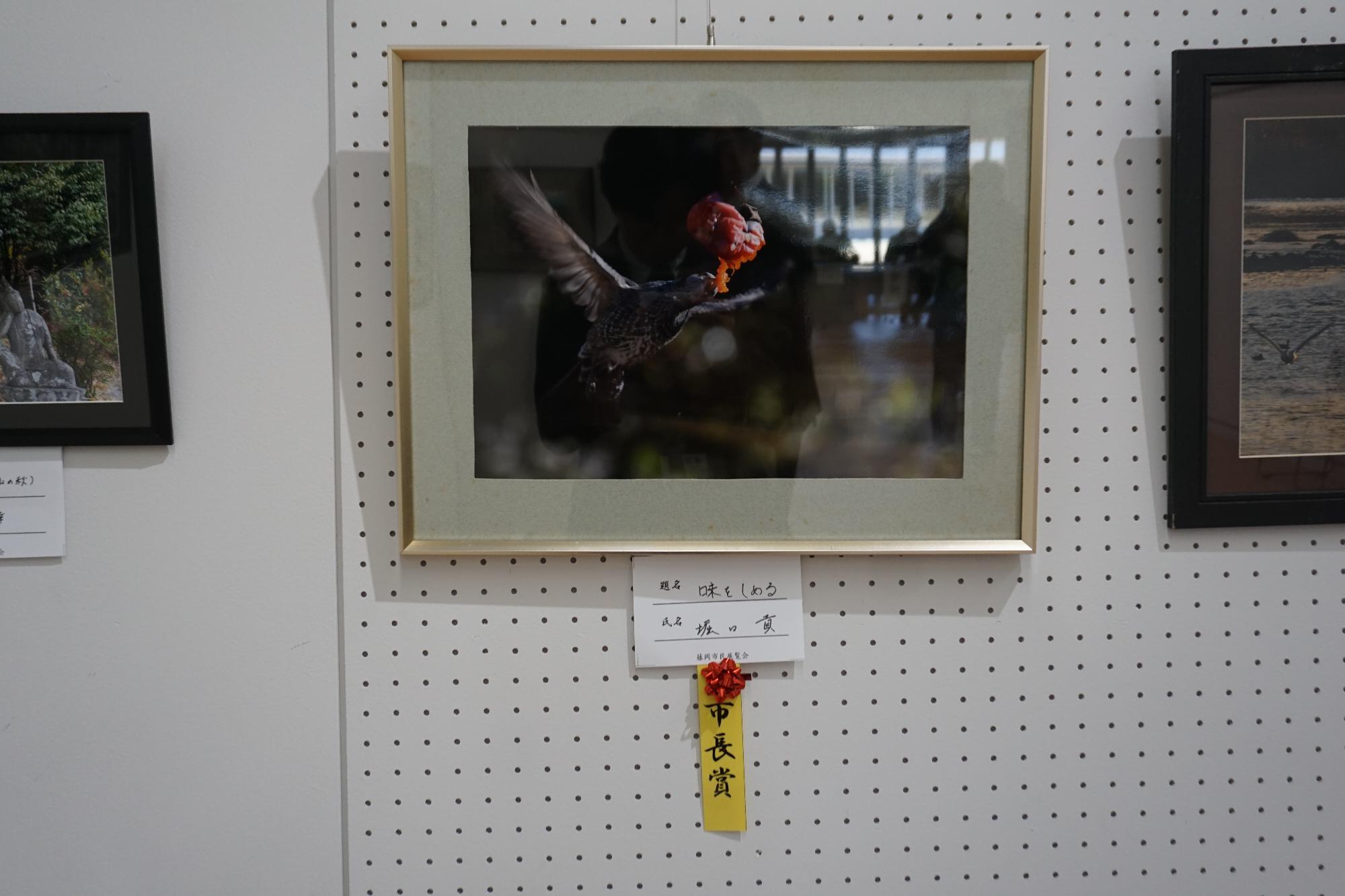 R08市民展覧会市長賞写真部門