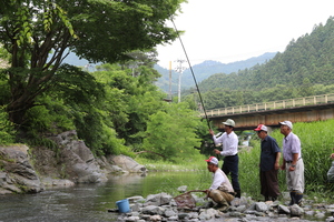 鮎の試釣りで鮎をする市長