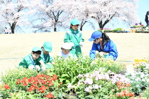 花と緑のぐんまづくり2020in藤岡で花壇に花を植える園児
