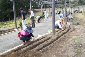 (仮称)花と緑のぐんまづくり2020in藤岡ネクスト事業　種まきをする参加者