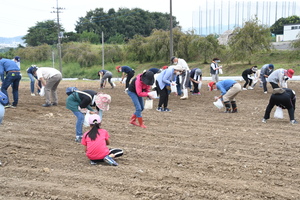 (仮称)花と緑のぐんまづくり2020in藤岡ネクスト事業　種まきをする参加者