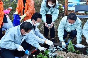 羽咋市より受贈したスイセンの球根を植栽する新井藤岡市長