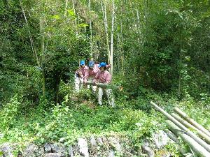 竹を運ぶ生徒たち