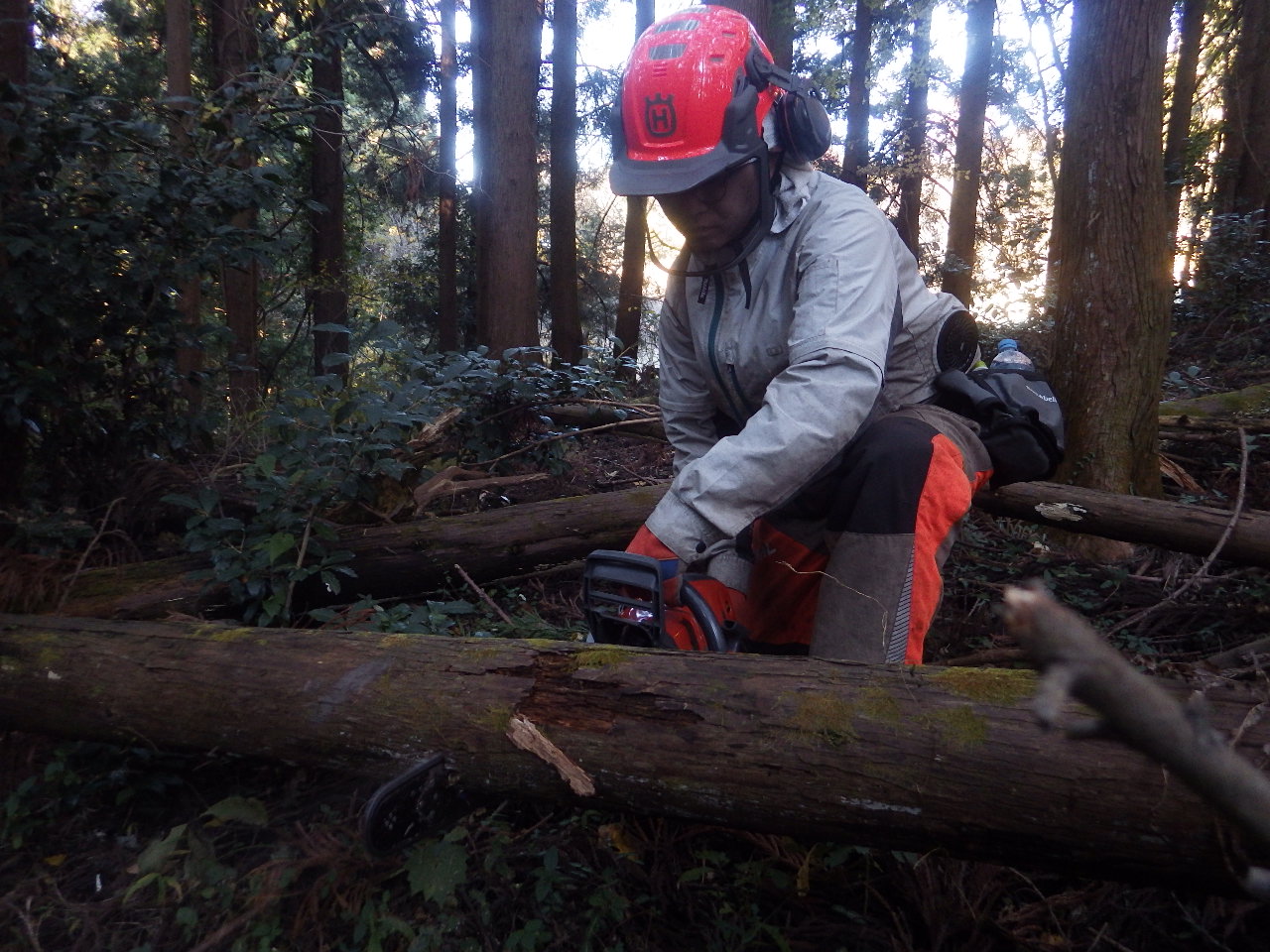R6地域おこし協力隊員募集