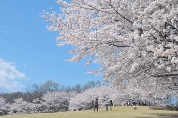 芝生広場