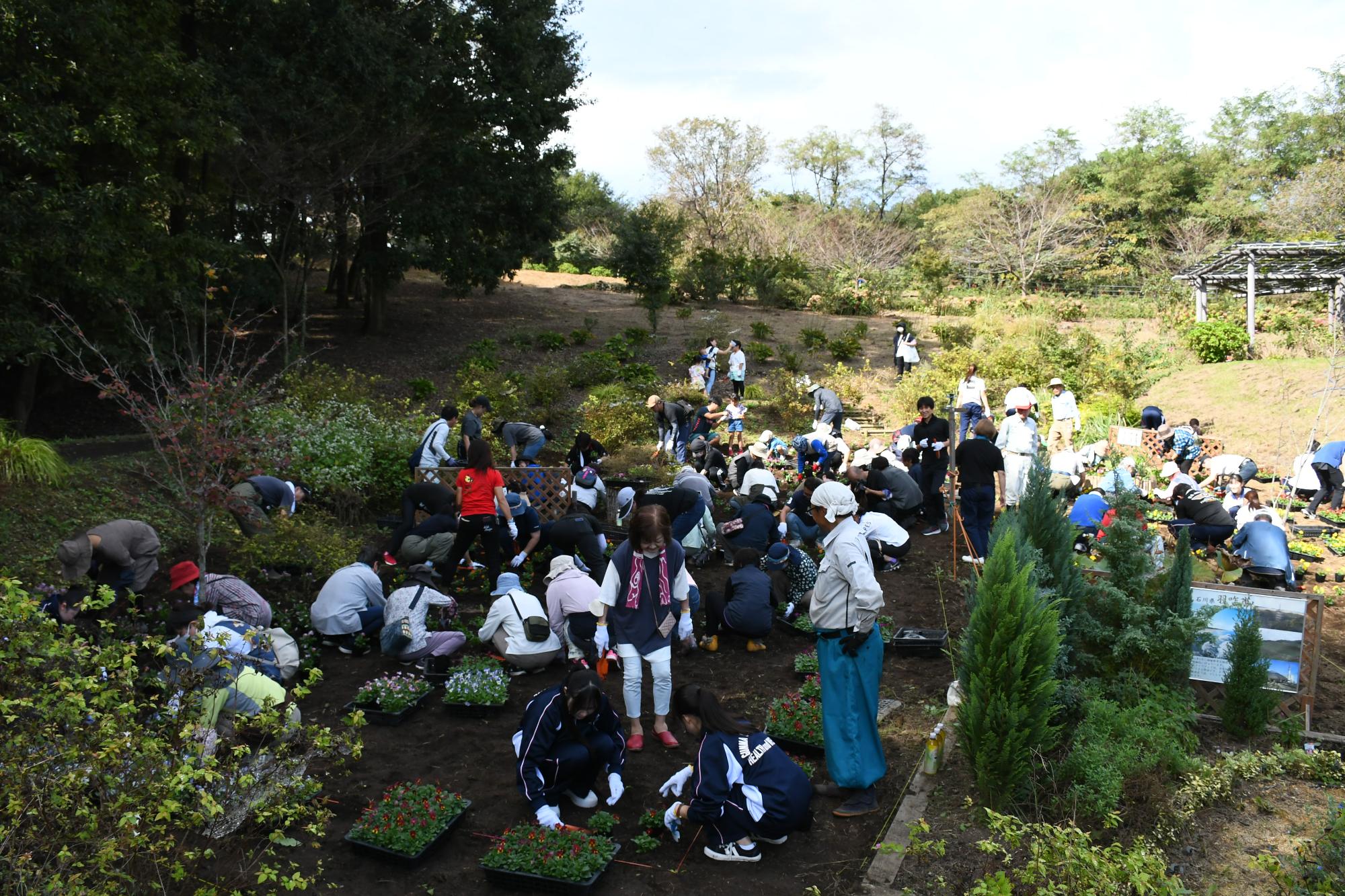 市民大花壇での植化活動の様子1