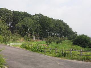 毛野国白石丘陵公園