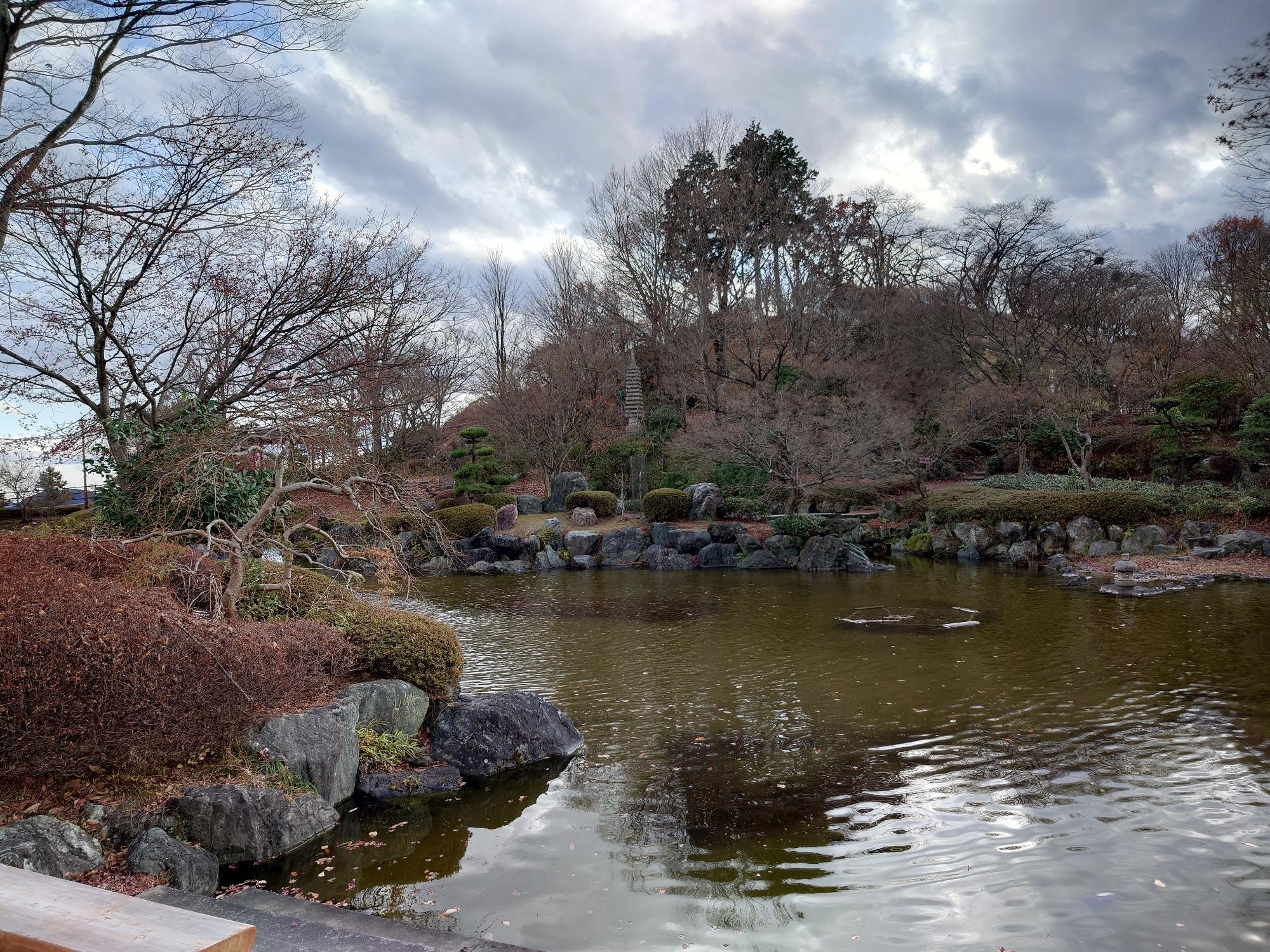 桜山公園の紅葉の写真