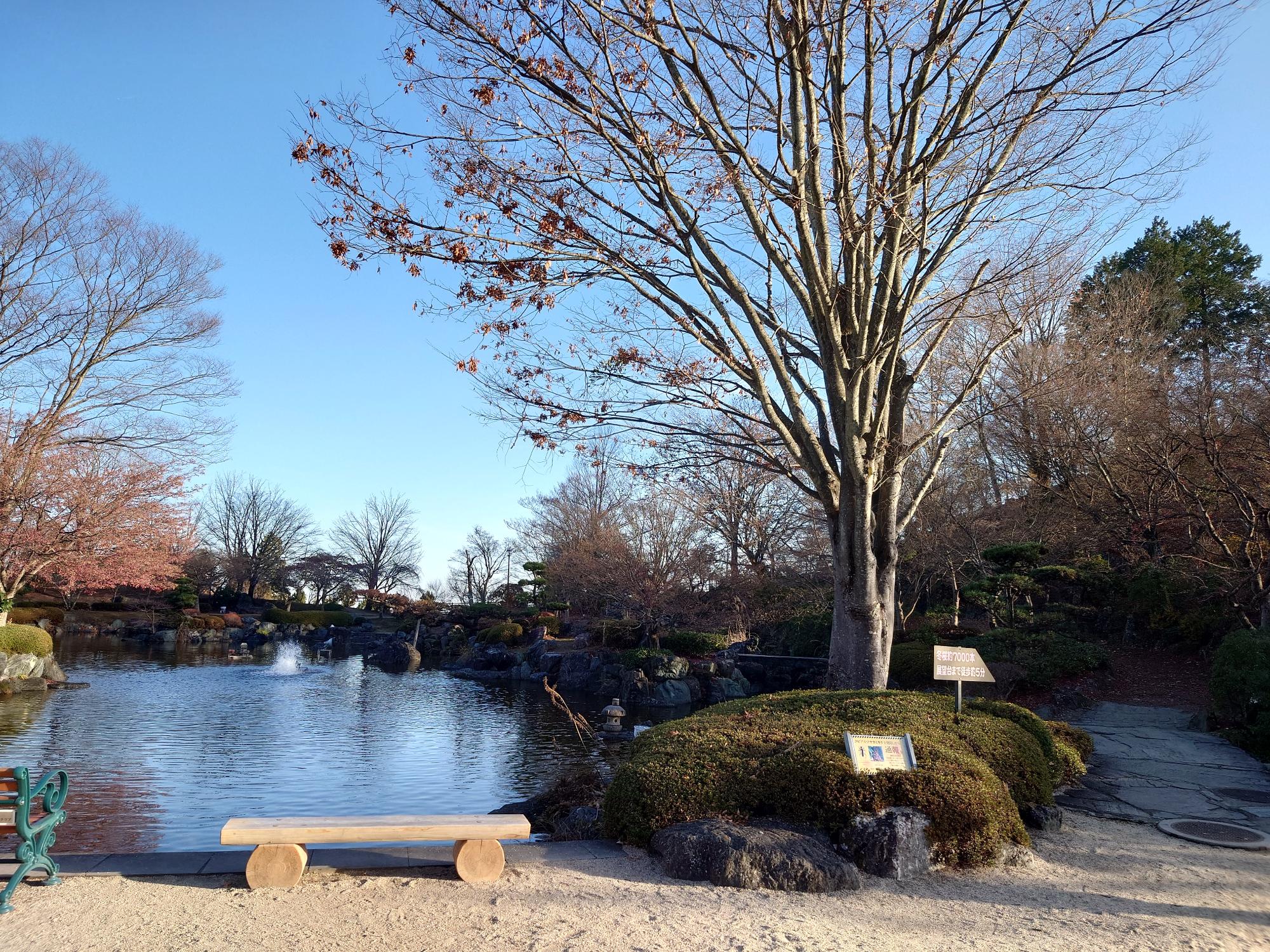 桜山公園の紅葉の写真