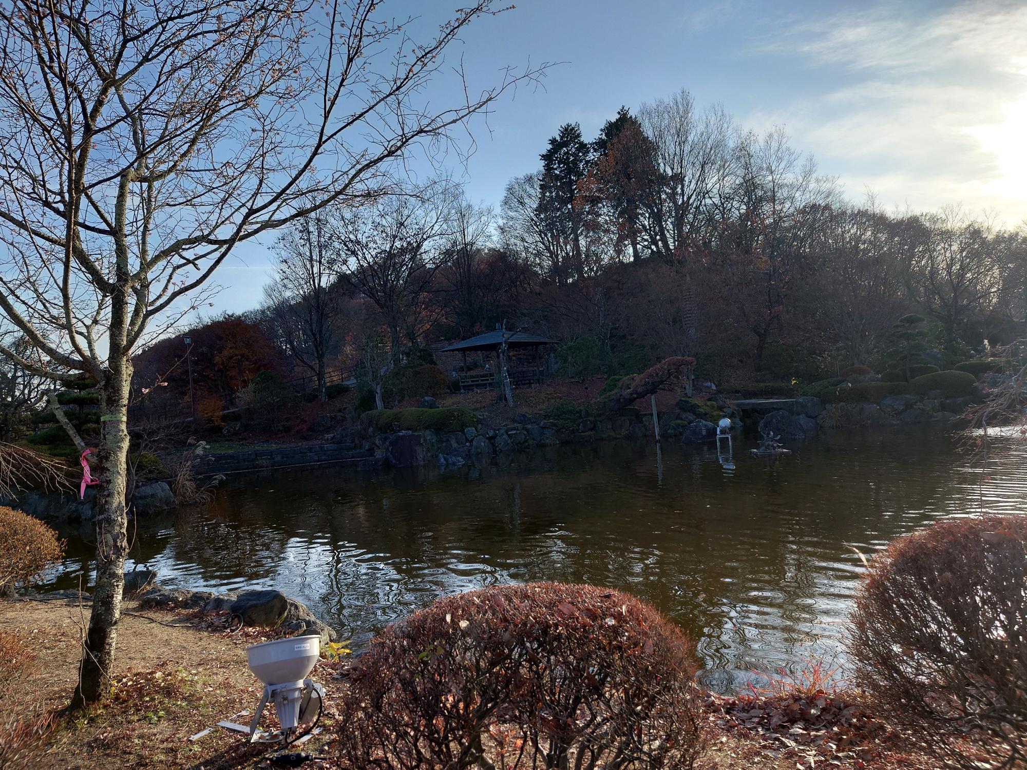 桜山公園の紅葉の写真