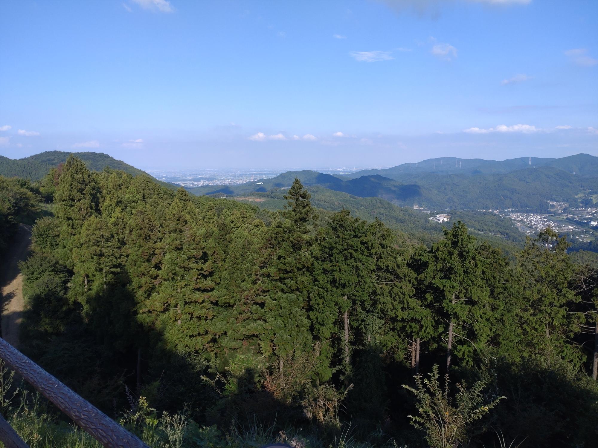 桜山公園展望台へ続く道