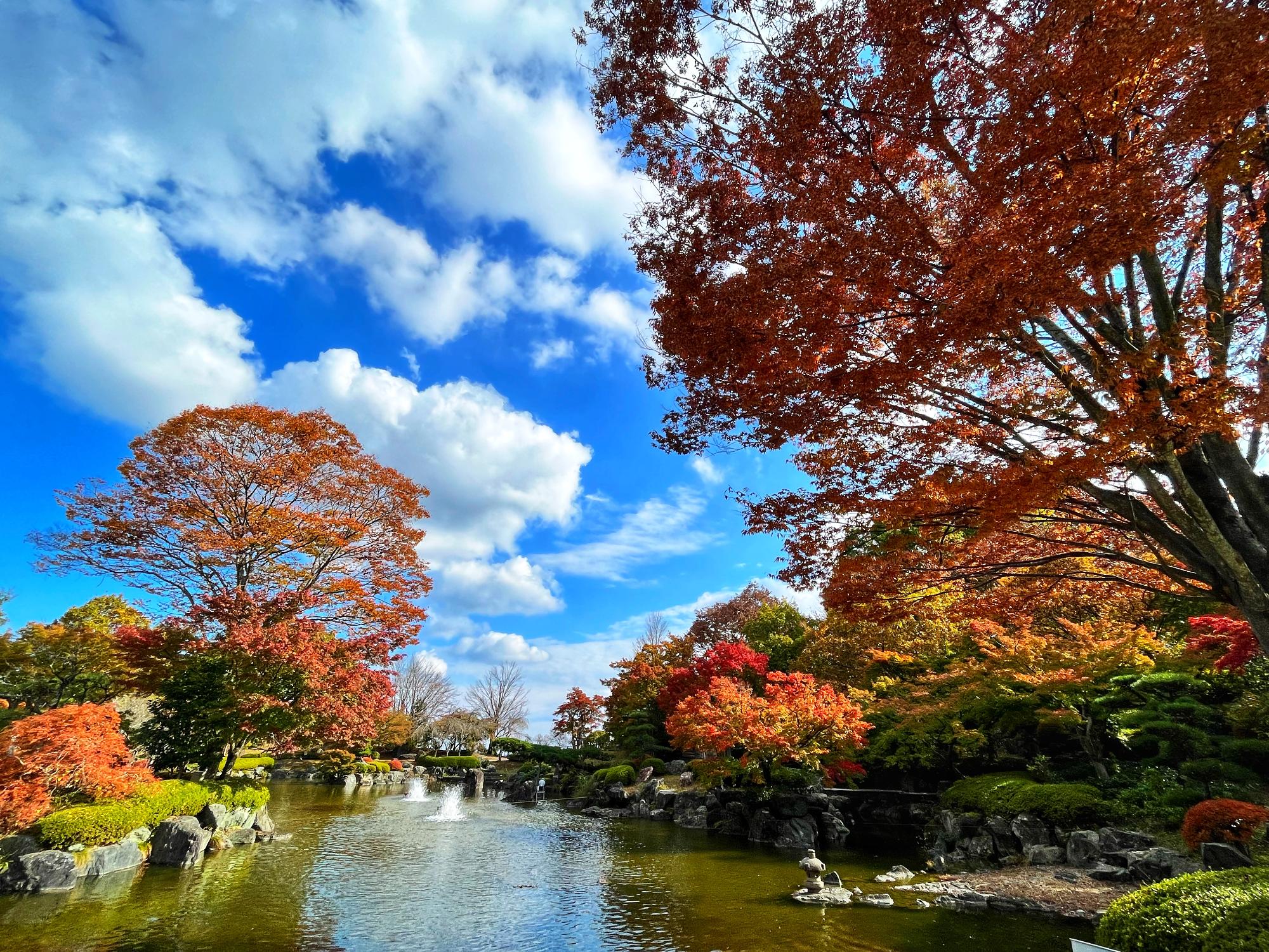 第1の広場日本庭園の様子