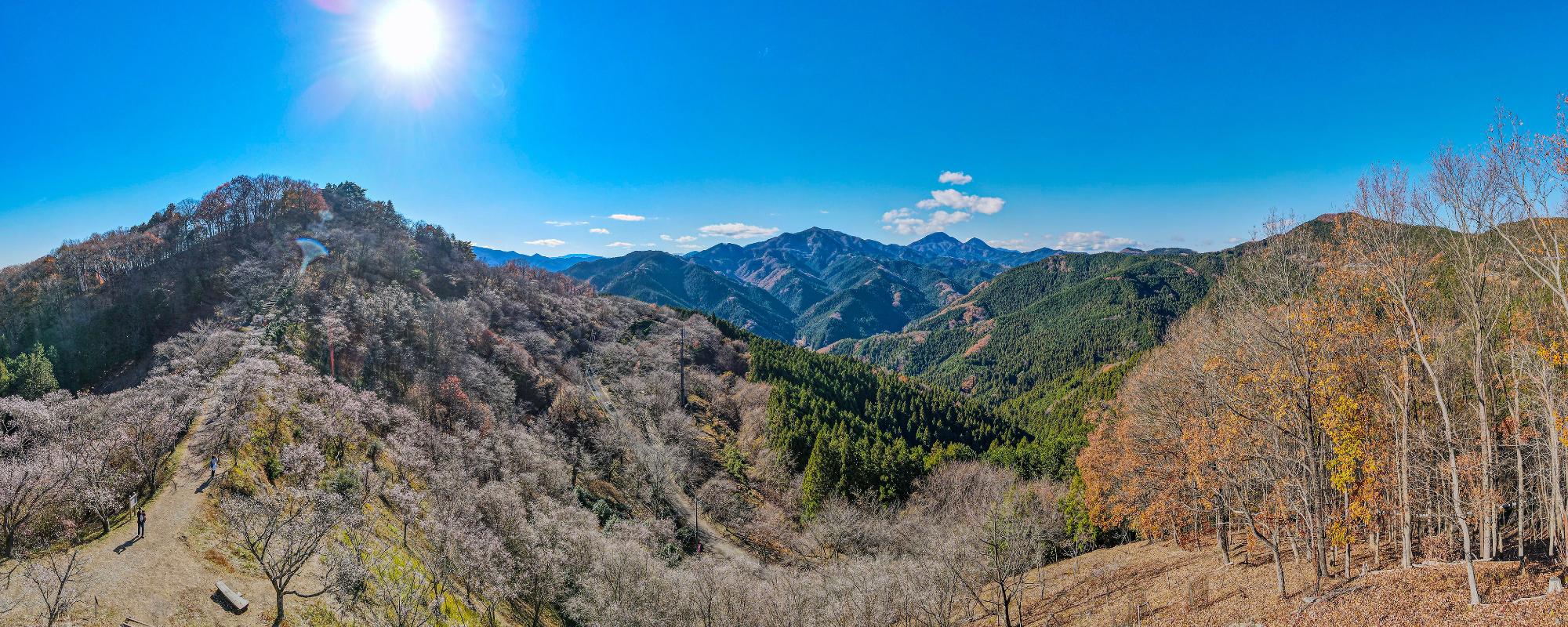 桜山公園展望台からの眺め