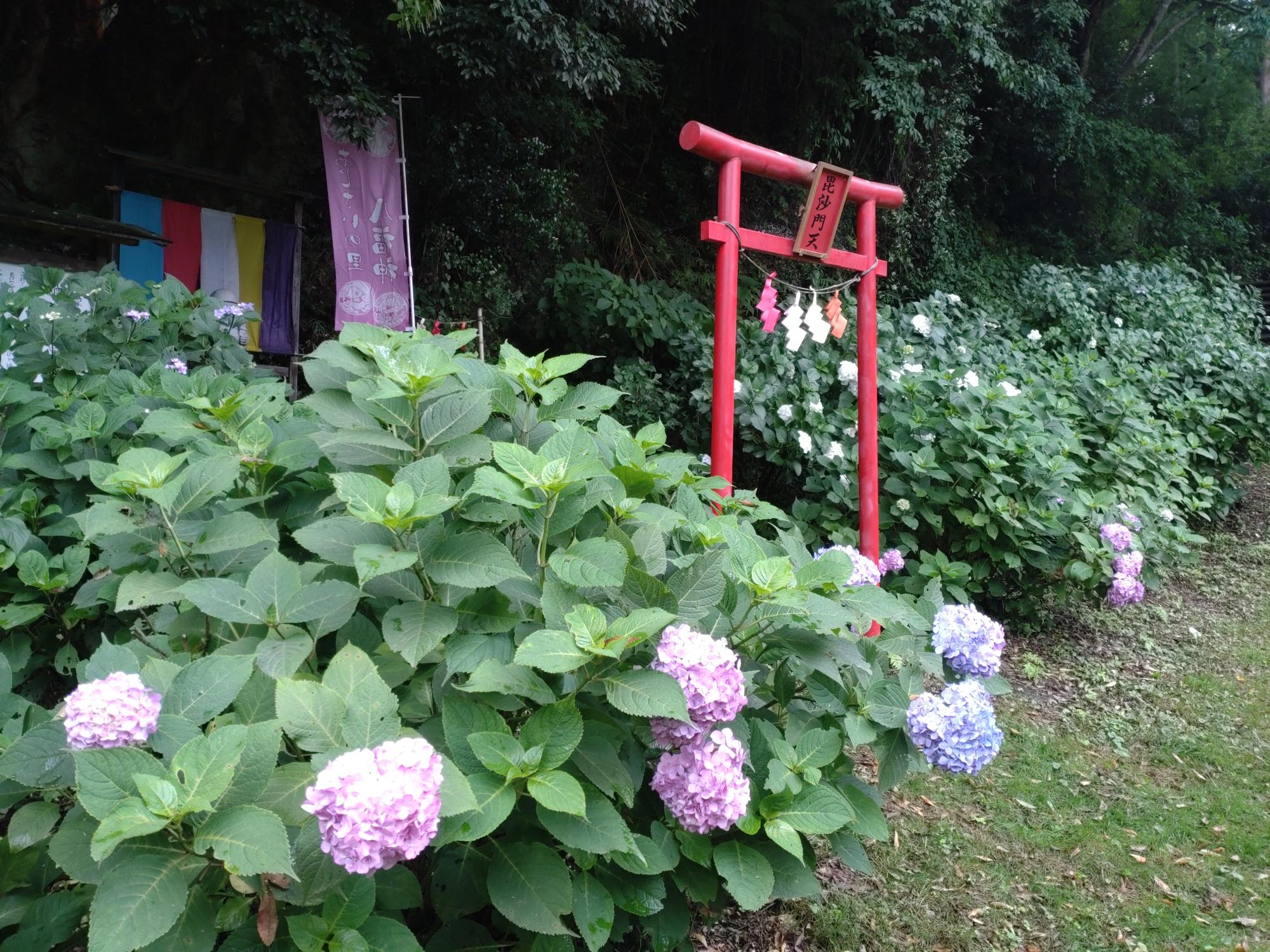 八塩あじさいの里毘沙門天付近