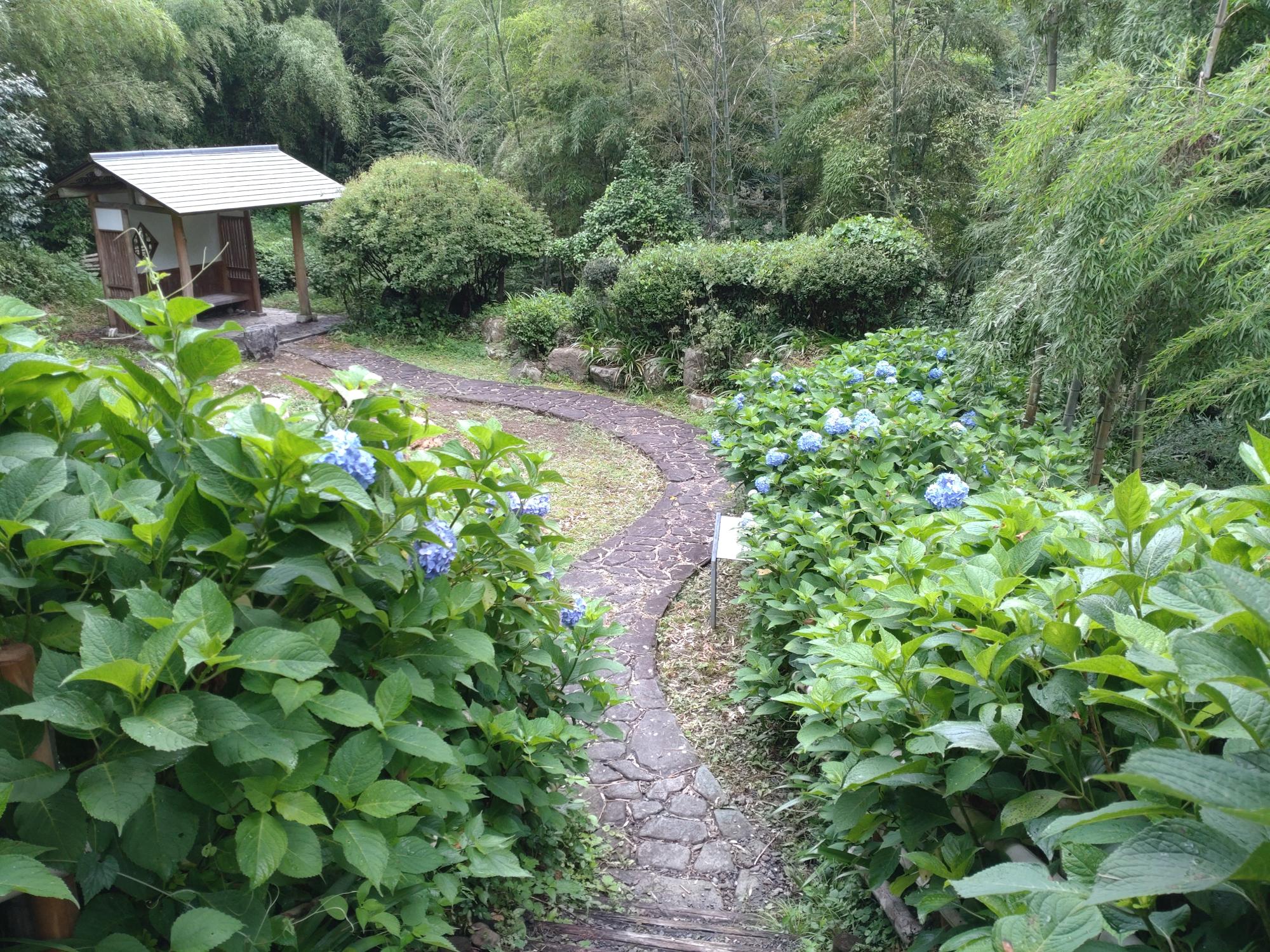 八塩あじさいの里庭園付近