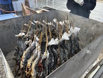 イワナ・ヤマメの塩焼き