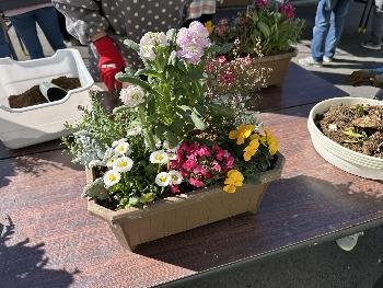色とりどりの寄せ植え