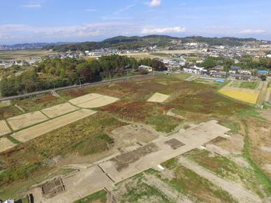 牛田廃寺跡の空撮写真