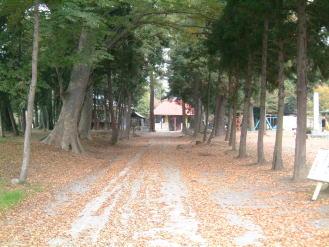 土師神社の境内の中の木々と参道の写真