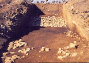 埴輪調査時の白石稲荷山古墳の東側くびれ部の写真