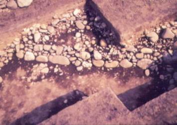 調査時の伊勢塚古墳の北西墳丘端部の写真