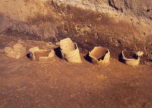 発掘調査時の白石稲荷山古墳の東側くびれ部の埴輪列の写真