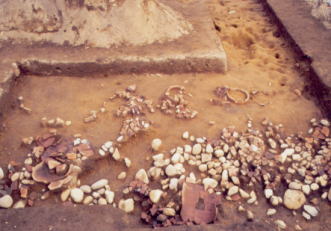七輿山古墳の調査時の中堤帯埴輪列の様子の写真