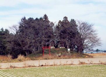 木々と赤い鳥居のみえる平地神社古墳の全景の写真