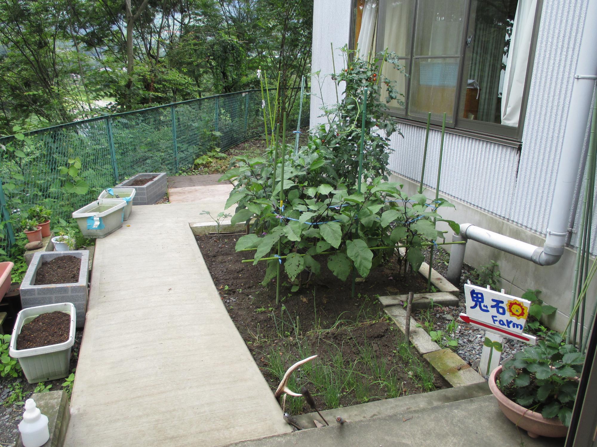 介護老人保健施設鬼石のミニ農園の画像