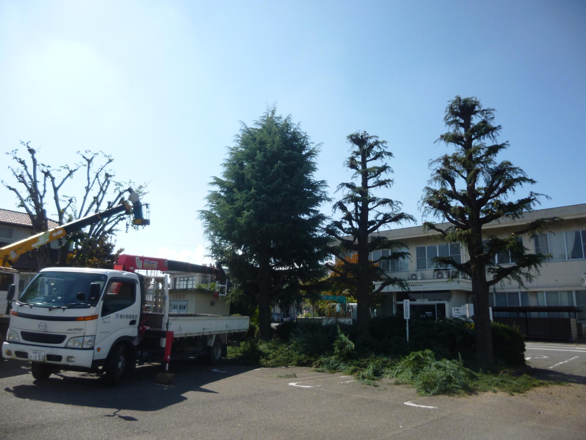 中庭剪定中の写真