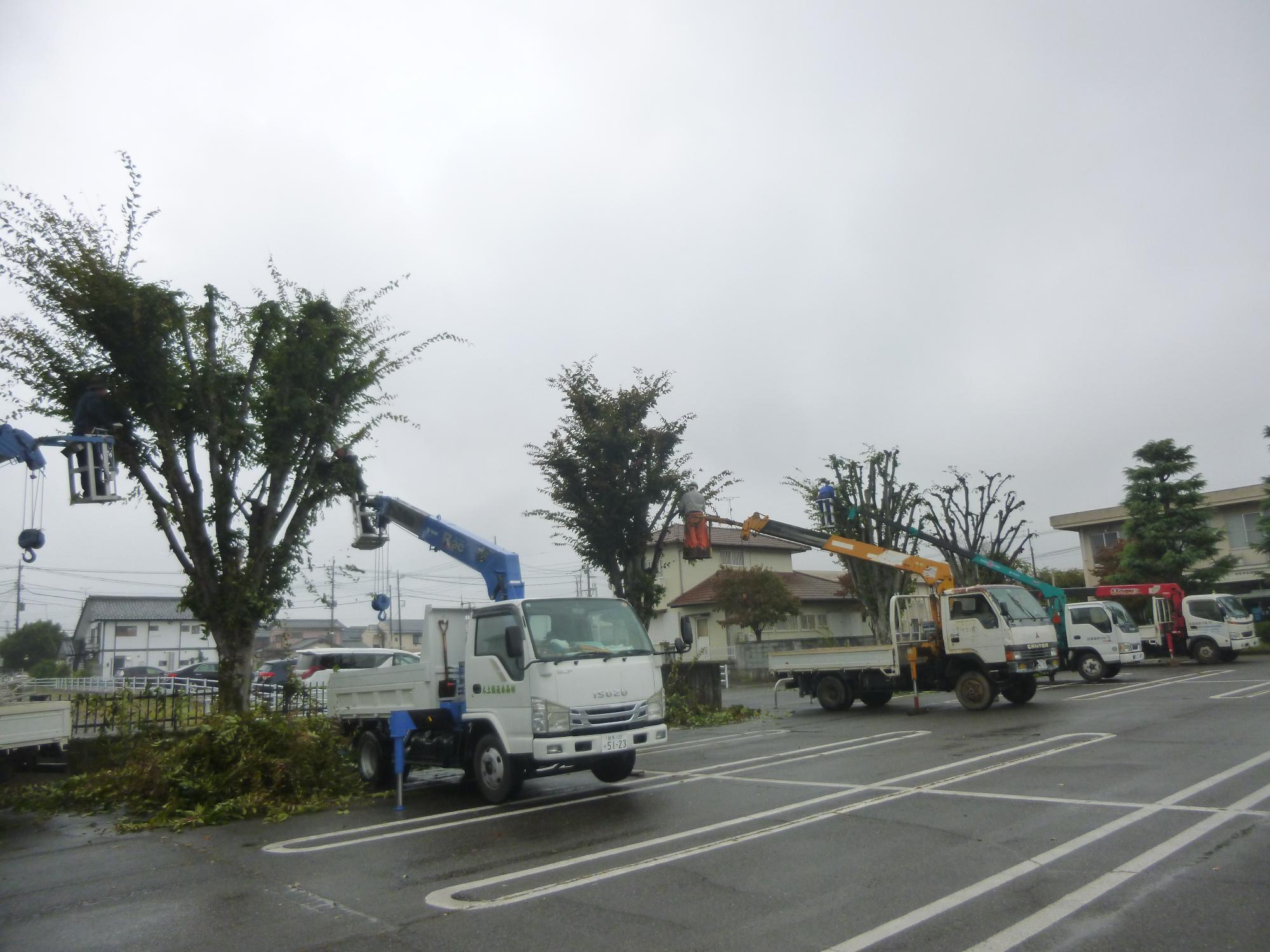 中庭剪定中の写真