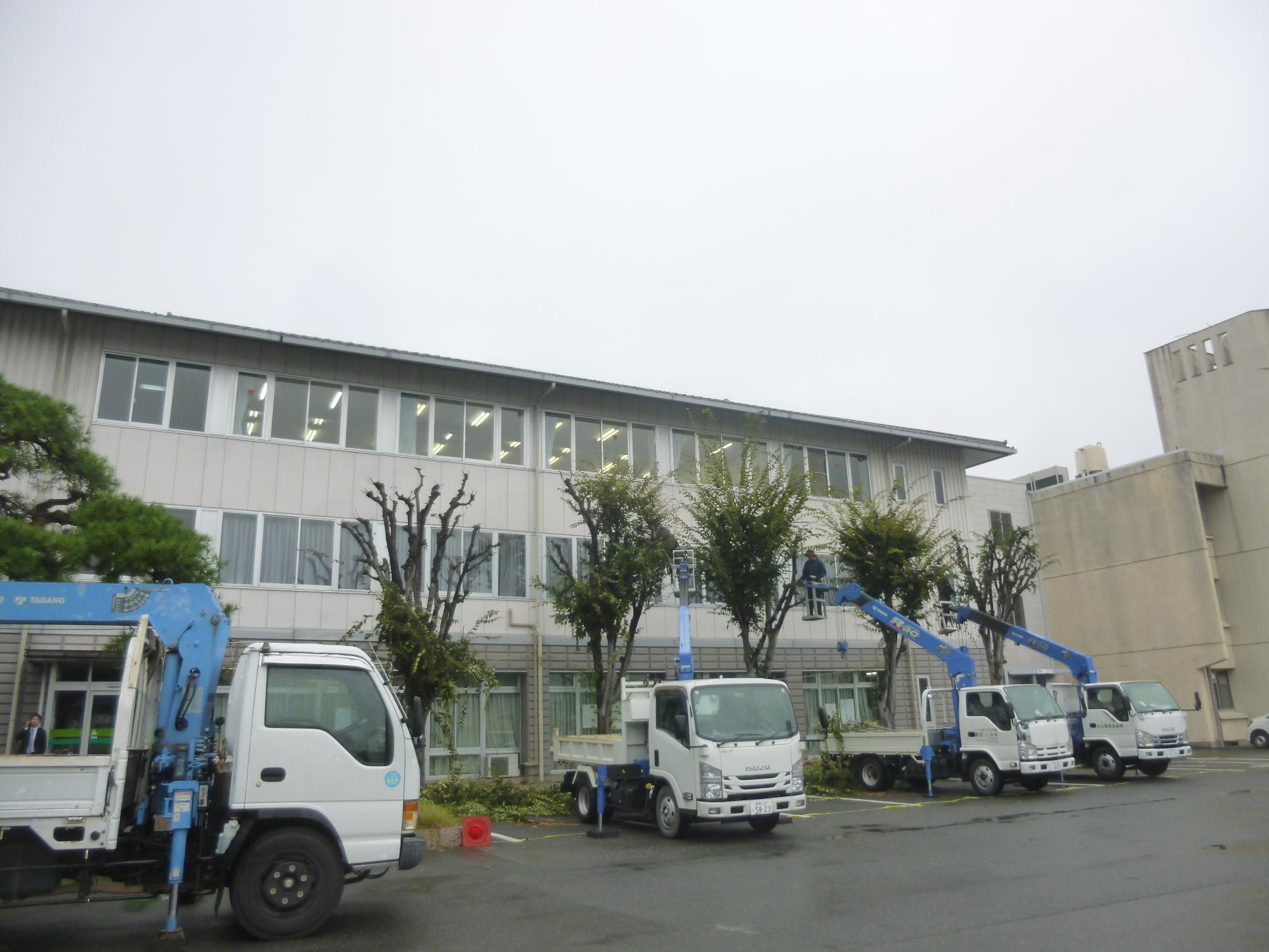 中庭剪定中の写真